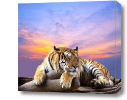 Картина Тигр преисполнился в своем познании
