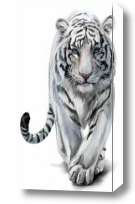 Картина Белый тигр